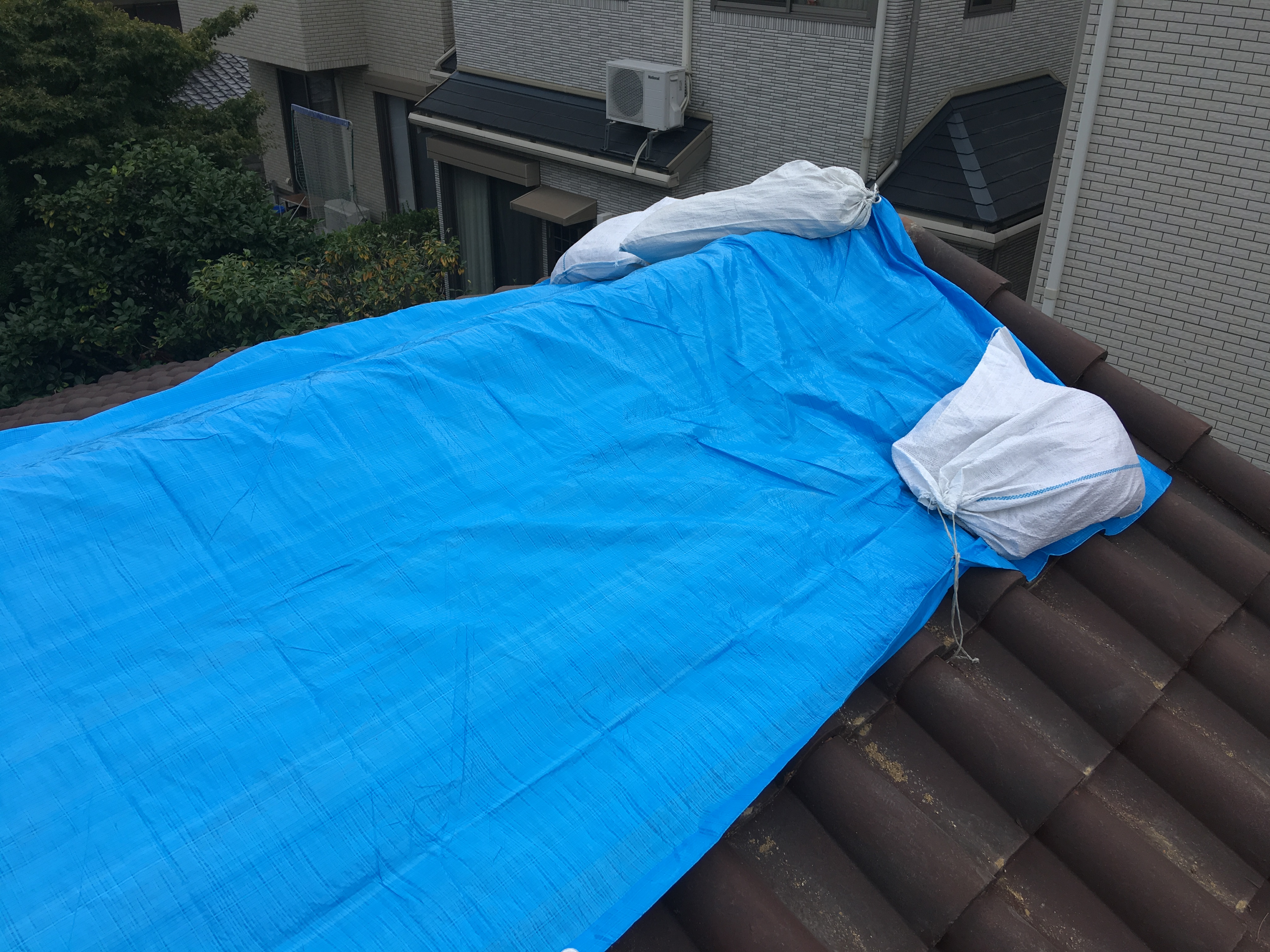 大阪台風ブルーシート20180909-1の画像