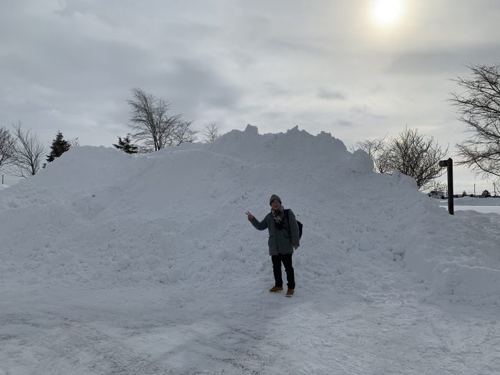 南幌町20190123-2の画像