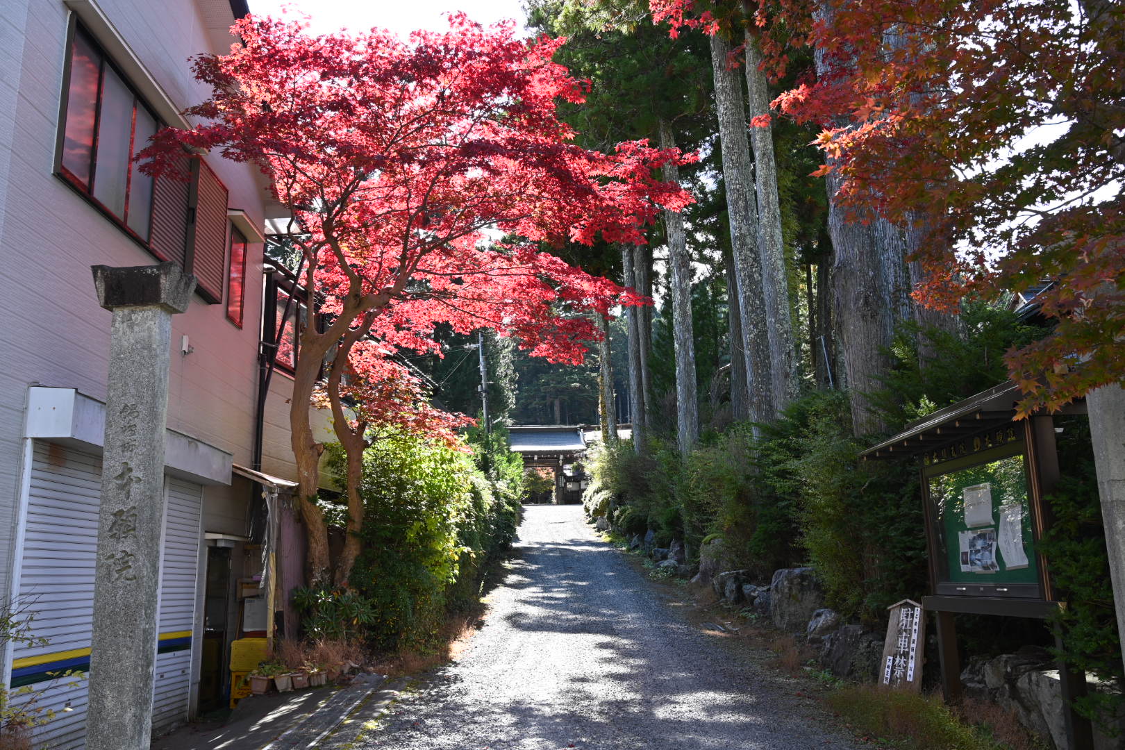 高野山の紅葉の写真