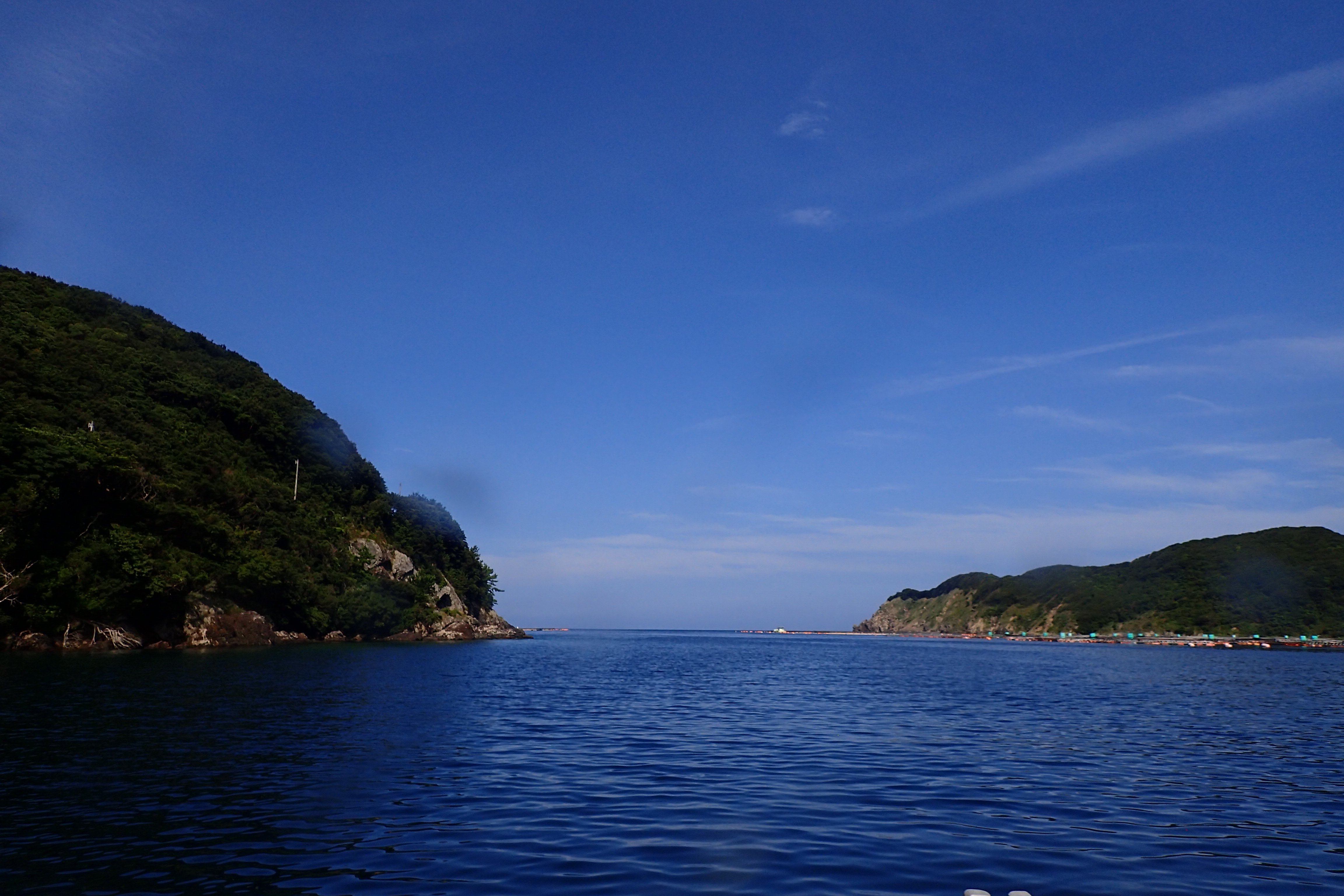 高知県柏島の写真